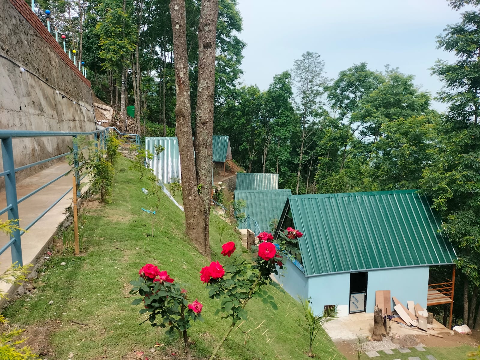 Green-roofed cottages with roses in the foreground